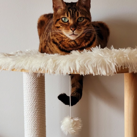 Meet your Posher, Charmaine - Picture 1 of 1